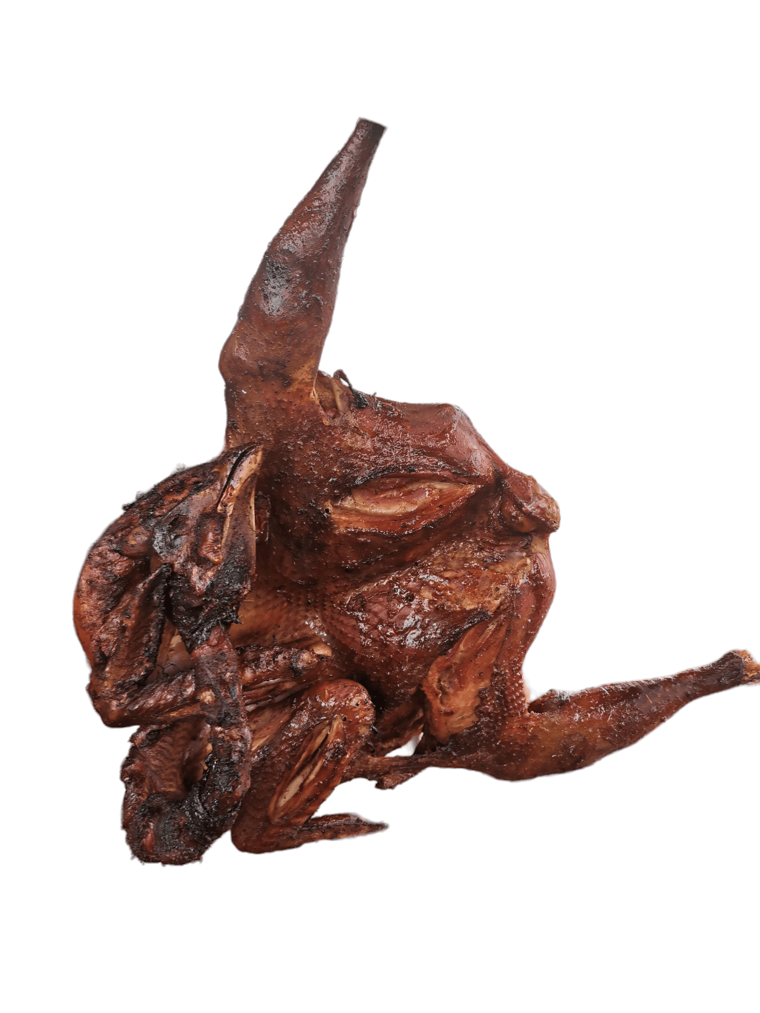 Full Smokey Guineafowl (Medium Size)